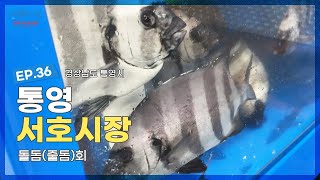 앞으로 돌돔은 여기서 드세요...! 통영 서호시장 수산물 시세와 종류, 장단점 영상!!!