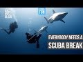 This is the reason why learn to scuba dive! | Why we scuba dive!