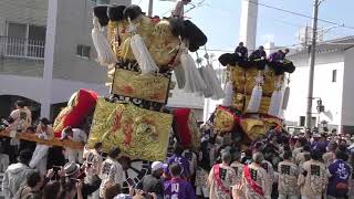 西条祭り 御殿前 みこし 2022年10月16日朝　#祭り#まつり#西条祭り#みこし#御輿#神輿#御殿前#西条高校#だんじり