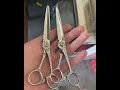 naruto scissors vg10 steel.