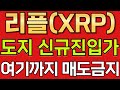 리플코인 도지코인 비트코인  🔥 신규진입가 & 천장은 여기까지 🔥