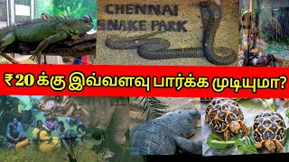 இந்தியாவின்  முதல் ஊர்வன பூங்கா/Guindy Snake Park 2025/walkthrough reptile garden@₹10 /VR Show @rs20