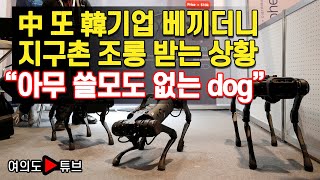 [여의도튜브] 中 또 韓기업 베끼더니 지구촌 조롱 받는 상황 “아무 쓸모도 없는 dog”/머니투데이방송