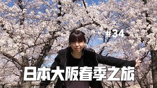 【Japan Vlog】Places We Visit during Sakura Full Bloom Season in Osaka, Kyoto and Nara