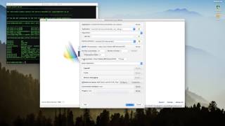 ARCHER Screencast: Starting DDT using the remote client
