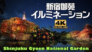 【Tokyo, Japan 4K/60fps Walking Tour】紅葉の新宿御苑 Shinjuku Gyoen National Garden Illumination