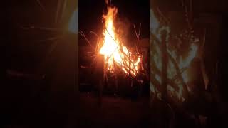 Andariki Bhogi 🔥 Panduga Subhakankshalu. #bhogi #bhogi2025 #festival  #india