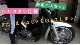 【リトルカブをDIYでカスタム】フロントをバネカットでローダウン