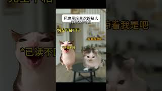 风象星座喜欢的粘人 #猫meme #funny #cat #星座系列#十二星座#天秤座 #双子座 #水瓶座 #星座