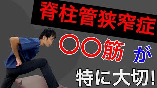 脊柱管狭窄症による足の痛みとしびれ。治す方法はこの筋肉が大切！｜兵庫県西宮ひこばえ整骨院