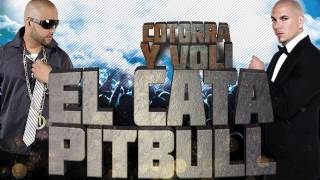 EL CATA & PITBULL - Cotorra Y Voli (Official Web Clip)