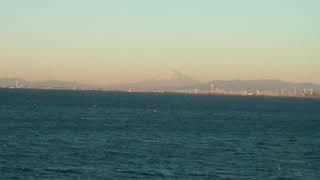 １月２日海ほたるから見る富士山