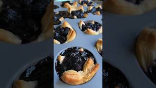 Black raspberry harvest and making tarts 6.29.24 #blackraspberry #homesteading #birdies #OhioZone6a