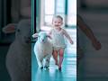 Adorable Baby and Sheep Fusion Delights the Audience!