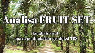 Part 1 - Analisa Fruit Set dan Upaya Peningkatan Produksi TBS Kelapa Sawit