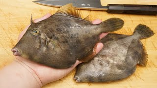 カワハギの煮付け用のさばき方と下処理に煮魚の簡単な煮汁の作り方