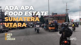 Pergi ke Wilayah Badan Otorita Food Estate Sumatera Utara Bentukan Jokowi | Dines Lingkungan Eps #5