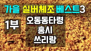 [실버체조]가을맞이 실버체조영상 모음 1부