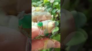 Natural Green Jade Stones 925 Rose Gold Adjustable Ring Gift For Her_$42.90 #shorts