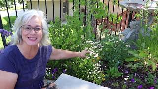 Cottage Garden | Garden Clean Up