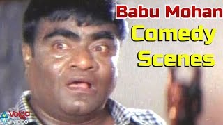 Babu Mohan Hilarious Comedy Scenes | Telugu Back 2 Back Comedy Scenes
