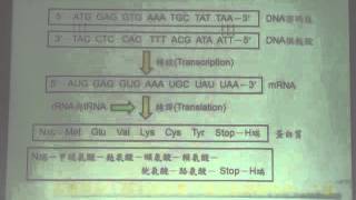 D15-14遺傳密碼M2U00345