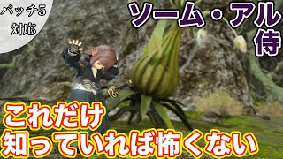 【FF14】ソーム・アルに侍(DPS)で挑戦【これだけ知っていれば怖くない パッチ5】