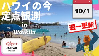 【ハワイの今】ワイキキ定点観測  2024年10月1日