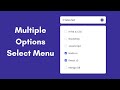 Multiple Options Select Menu in HTML CSS & JavaScript