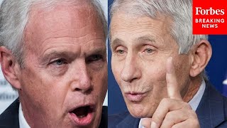 'What Is The Real Figure?': Ron Johnson Grills Witnesses, From Fauci To Mayorkas | 2021 Rewind