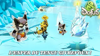 🔥 L'ENFER DU TENGU GIVREFOUX ❄️ - DOFUS DES GLACES 🧊 - DOFUS 3