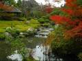 Sayuri Ishikawa - Meoto Zanzai - enka