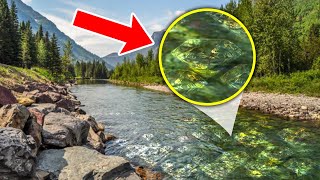 The TERRIFYING Discovery In This River That Shocked The World