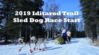 2019 Iditarod Trail Sled Dog Race Video