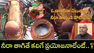 Neera Uses And Health benefits In Telugu | Neera Drink Health benefits | Kiran TV