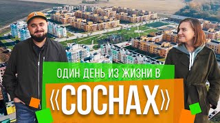 Эко-парк «СОСНЫ». Зелень, Мадагаскар, разбитые дороги | Поживём-увидим