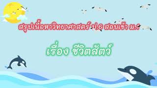 ชีวิตสัตว์ (สรุปวิทย์ ป.6 สอบเข้า ม.1)