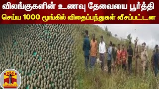 விலங்குகளின் உணவு தேவையை பூர்த்தி செய்ய 1000 மூங்கில் விதைப்பந்துகள் வீசப்பட்டன | Nilagiri