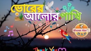 সকাল থেকে সাজে | Bhorer Alor Pakhy | New Video Song | ভোরের আলোর পাখি