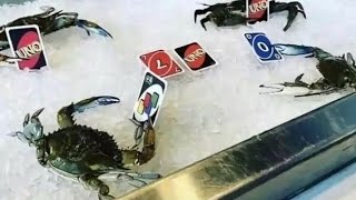 Shitpost status V85