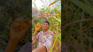 આજે પાકલ પાકલ રામ બોર ખાધાં | #desivlogs #gujarati #minivlog