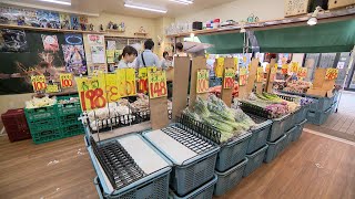 九州の消費者を直撃、記録的な大雨によって“葉物野菜”の出荷が滞り始めた