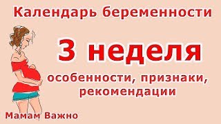 3 неделя беременности: особенности, признаки, рекомендации