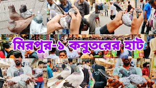 মিরপুর ১ কবুতরের হাট। শীতে কেমন কবুতরের দাম। Pigeon market Mirpur -1