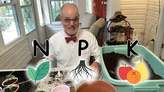 FERTILIZER NUTRIENTS EXPLAINED What N-P-K Means to Me \u0026 How I decide What to Use in Garden and When?