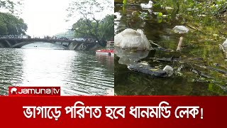 মরা গাছ পড়ে থাকলেও দেখার কেউ নেই | Dhanmondi Lake