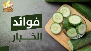 معلومات صادمة عن الخيار | جولة فوائد عجيبة  | بره الصندوق