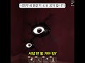 도어즈 시참무새 잼민이 신상 공개 합니다