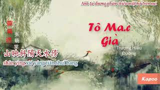 [ KARAOKE ] Tô Mạc Già | 蘇幕遮- Trương Hiểu Đường | 蘇幕遮 CÓ BÈ