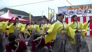 崇城大学 華咲流舞 第１３回市比野温泉よさこい祭り 上の湯会場 2016